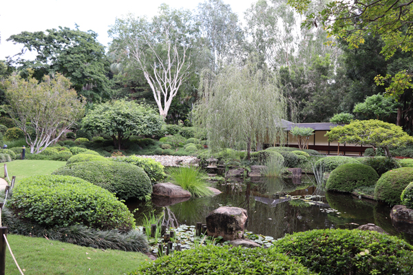 Carer Social Walking Group