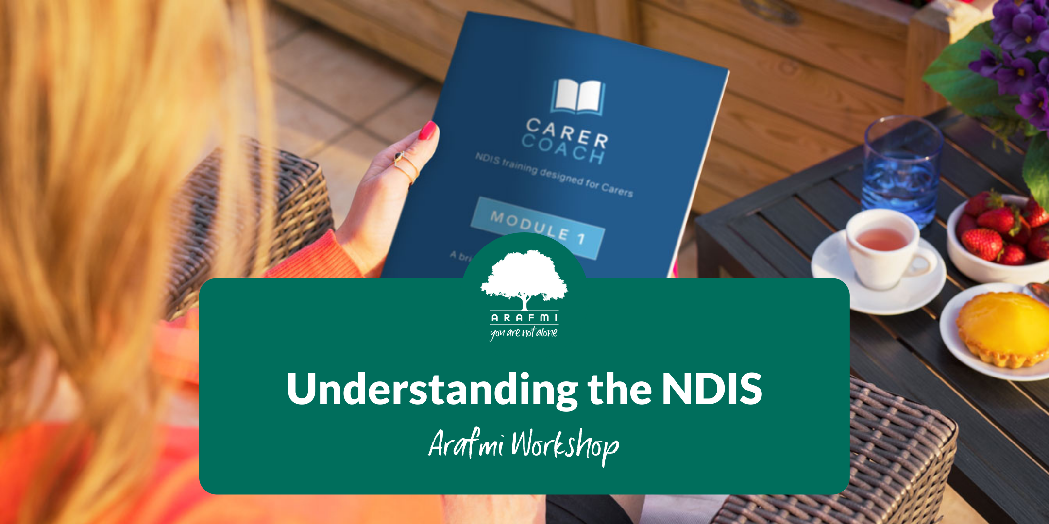 Workshop Understanding NDIS