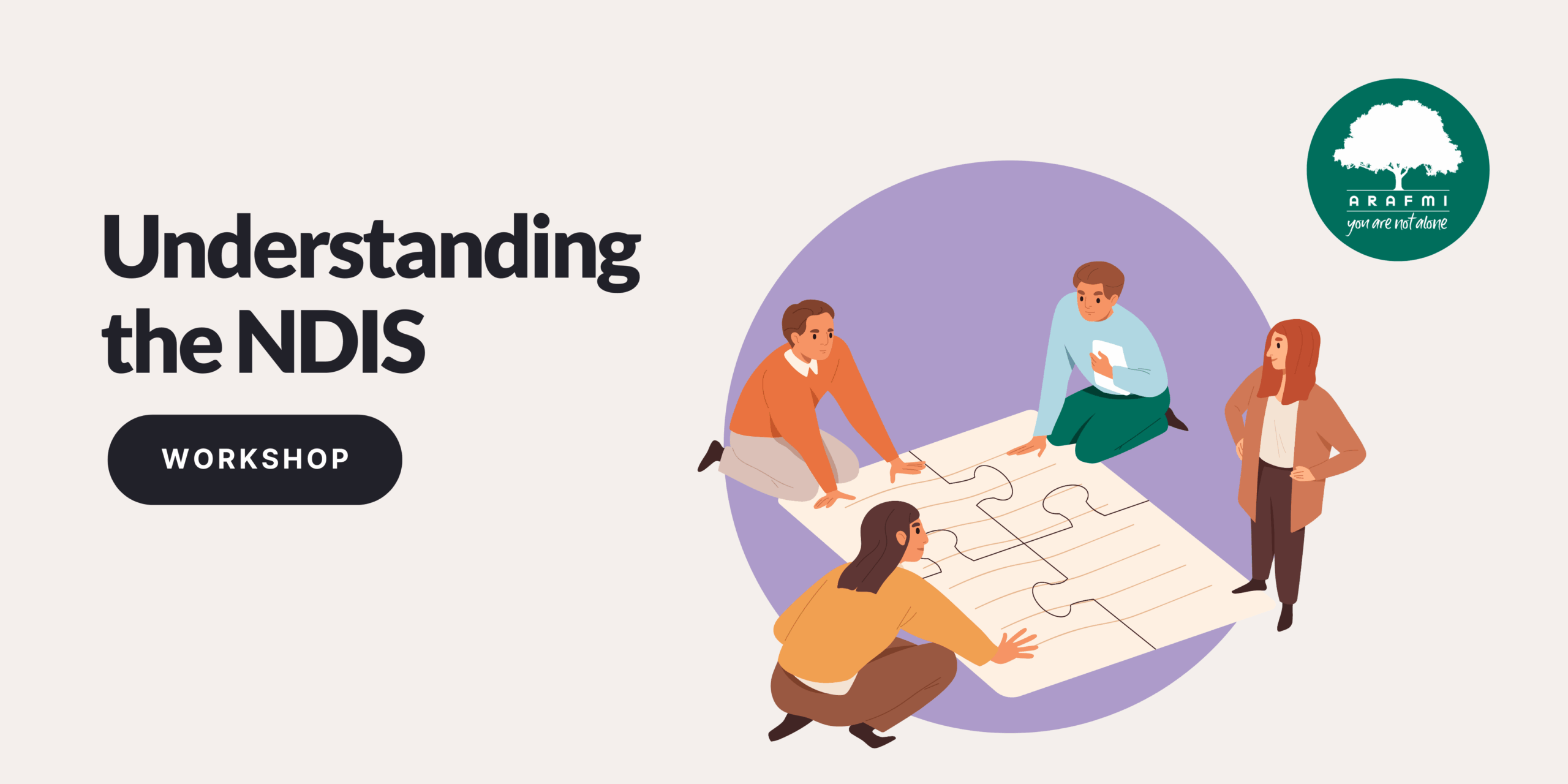 Understanding the NDIS Image