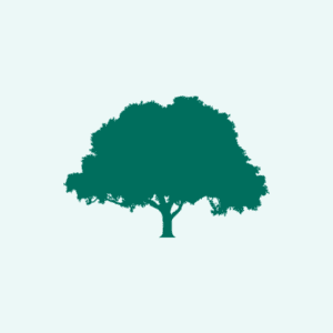 Arafmi tree emblem on a mint background, used as a placeholder photo